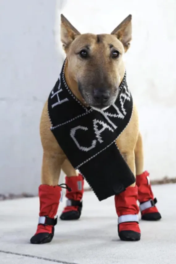 Canada Pooch Soft Shield Boots Red